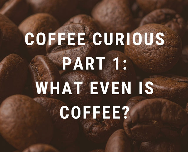 What Even Is Coffee?