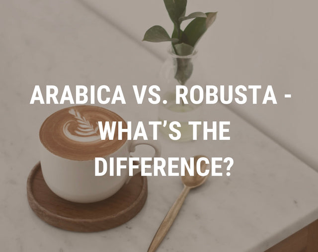 What Is Specialty Arabica Coffee – and Why We Only Roast It