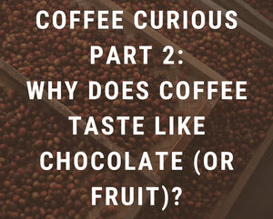 Why Does Coffee Taste Like Chocolate (or Fruit)?