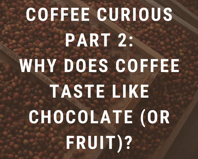 Why Does Coffee Taste Like Chocolate (or Fruit)?