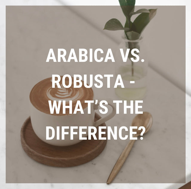 What Is Specialty Arabica Coffee – and Why We Only Roast It