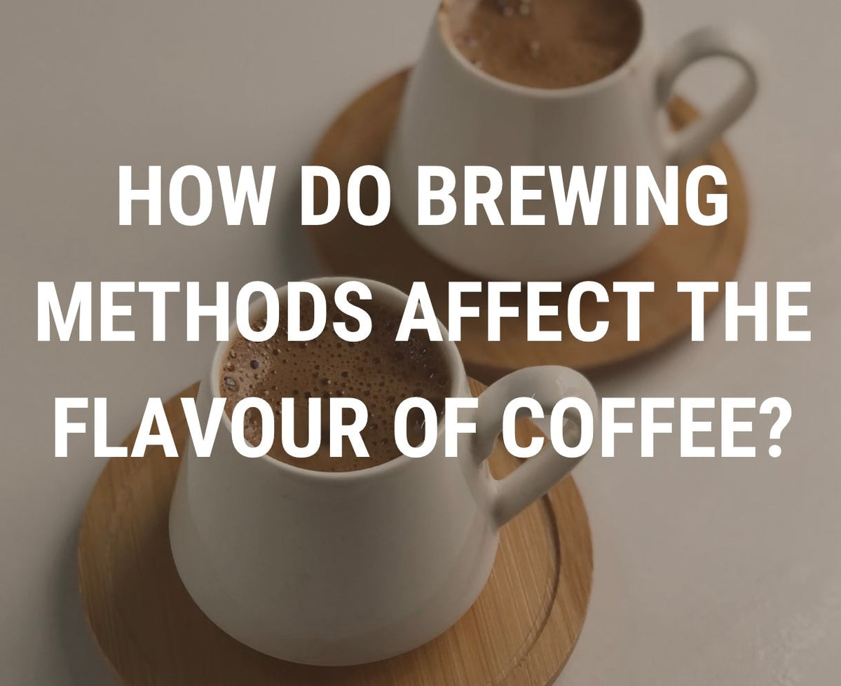 How Brewing Methods Affect Coffee Flavour: Finding Your Perfect Cup ...
