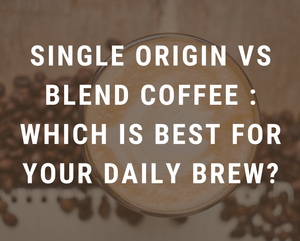 Single Origin vs Blend Coffee : Which Is Best for Your Daily Brew?