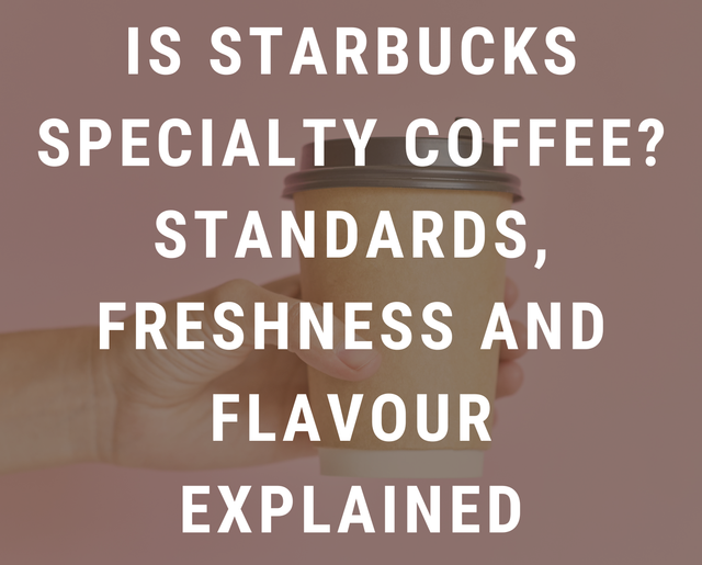 Is Starbucks Specialty Coffee? Standards, Freshness and Flavour Explained
