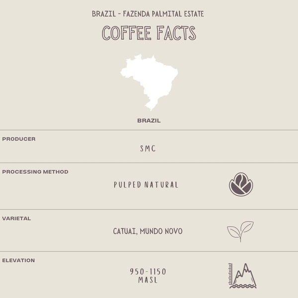 BRAZIL - FAZENDA PALMITAL ESTATE - The Flat Cap Coffee Roasting Company