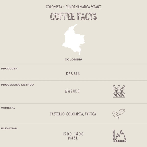 COLOMBIA - CUNDINAMARCA VIANI - The Flat Cap Coffee Roasting Company
