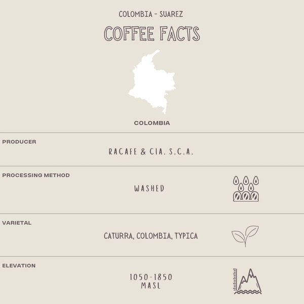 COLOMBIA - SUAREZ - The Flat Cap Coffee Roasting Company