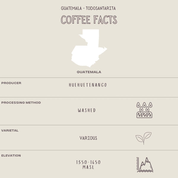GUATEMALA - TODOSANTARITA - The Flat Cap Coffee Roasting Company