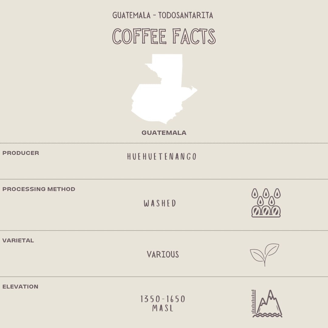GUATEMALA - TODOSANTARITA - The Flat Cap Coffee Roasting Company