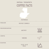 GUATEMALA - TODOSANTARITA - The Flat Cap Coffee Roasting Company