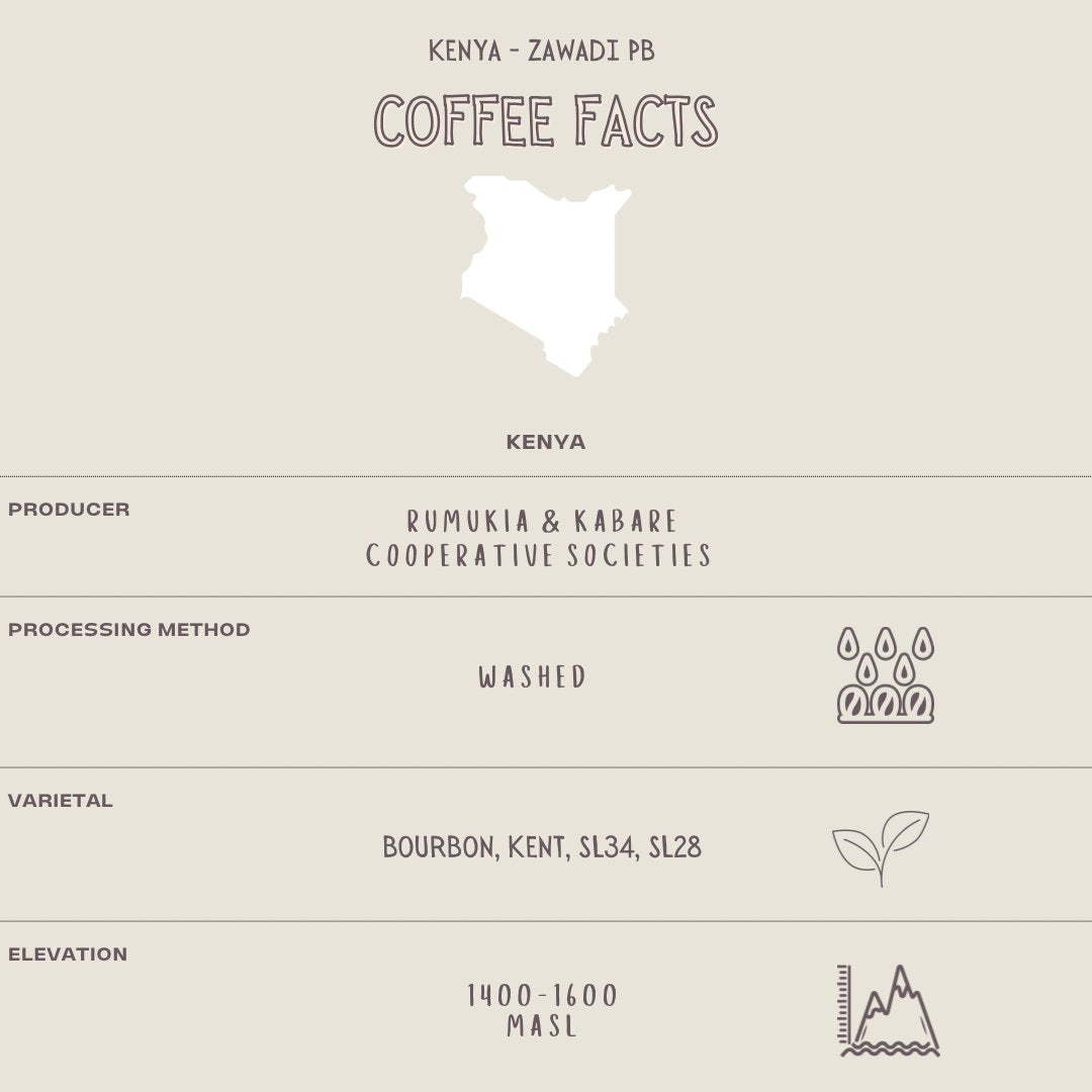 KENYA - ZAWADI PEABERRY - The Flat Cap Coffee Roasting Company