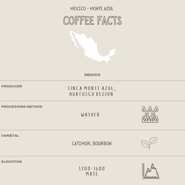 MEXICO - MONTE AZUL - The Flat Cap Coffee Roasting Company