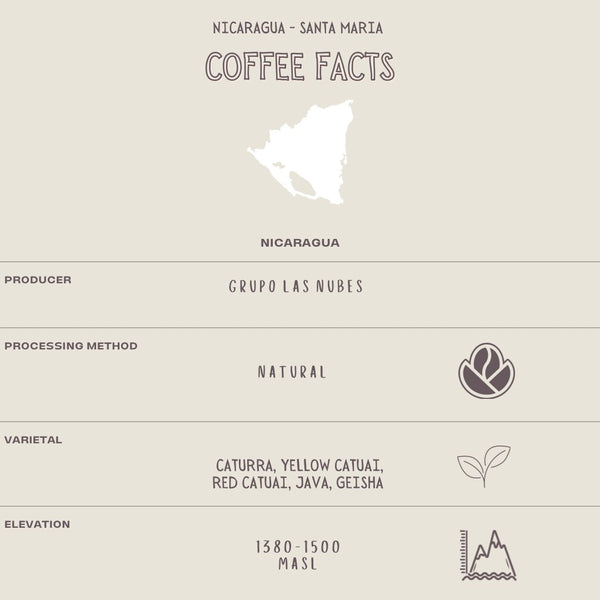 NICARAGUA - SANTA MARIA NATURAL - The Flat Cap Coffee Roasting Company