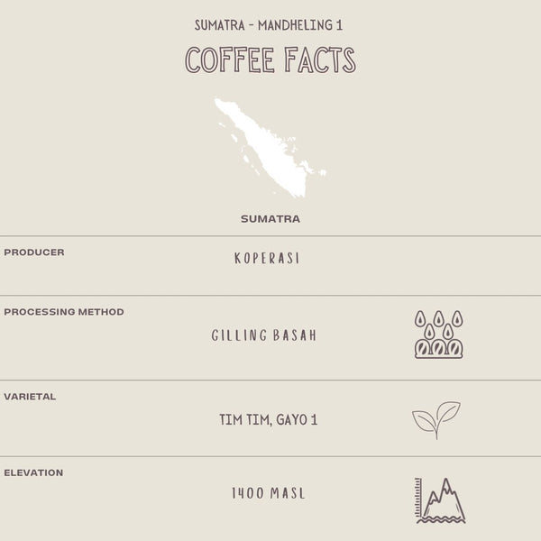 SUMATRA - MANDHELING 1 - The Flat Cap Coffee Roasting Company